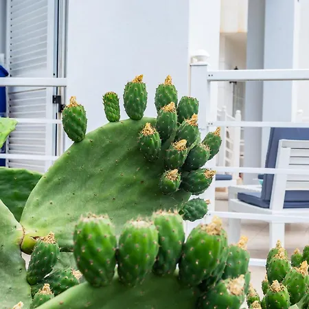 Apartment Bright 5 Minutes Walking From The Beach
